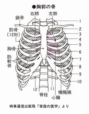 やり方 心臓 マッサージ