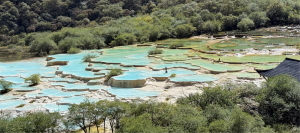 グラフィックス5